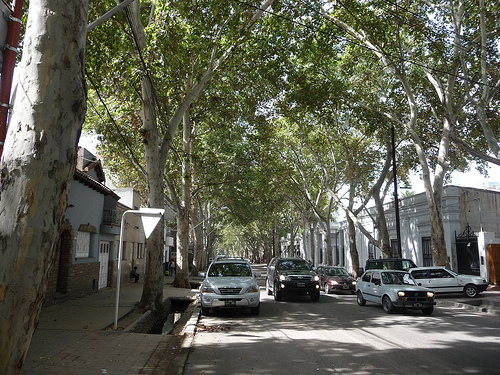 Peter Hahndorf 6-Apr-2010