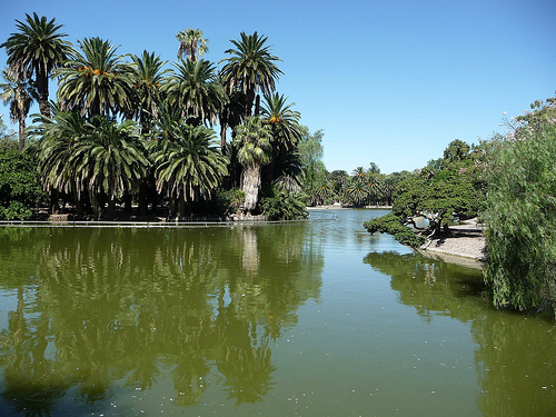 Peter Hahndorf 26-Mar-2010