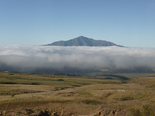 Peter Hahndorf 10-Apr-2010