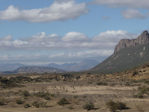 Peter Hahndorf 8-Apr-2010