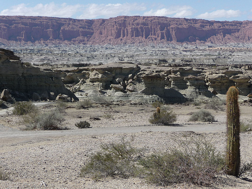 Peter Hahndorf 8-Apr-2010