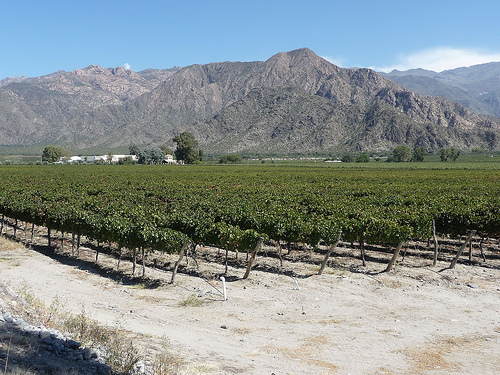 Peter Hahndorf 10-Apr-2010