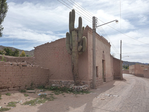 Peter Hahndorf 17-Apr-2010