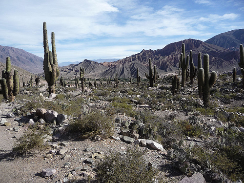 Peter Hahndorf 16-Apr-2010