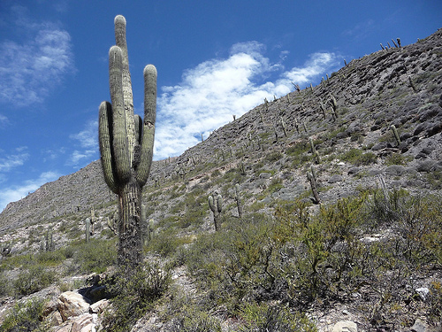 Peter Hahndorf 16-Apr-2010
