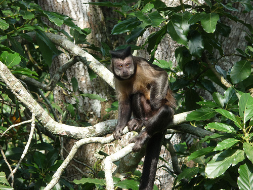 Peter Hahndorf 24-May-2010