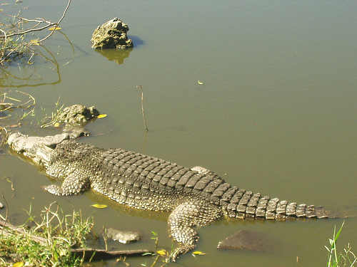 Peter Hahndorf 29-Nov-2004