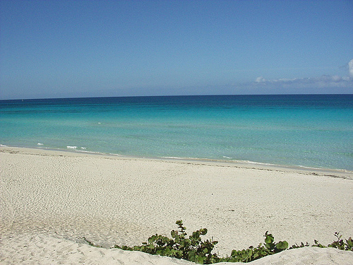 Peter Hahndorf 8-Dec-2004