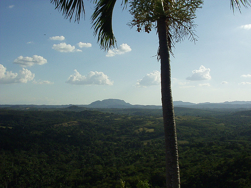Peter Hahndorf 10-Dec-2004