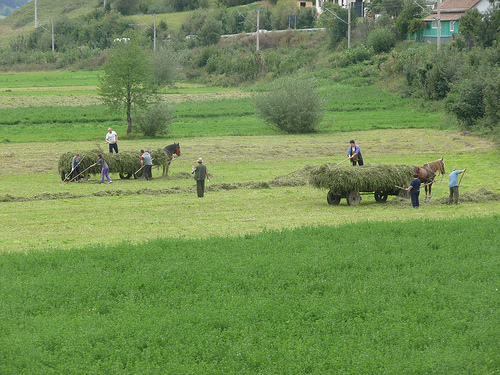 Peter Hahndorf 18-Sep-2011