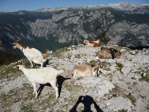 Peter Hahndorf 20-Oct-2011