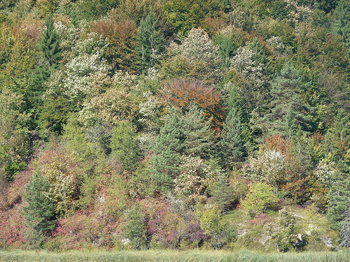 Peter Hahndorf 21-Oct-2011