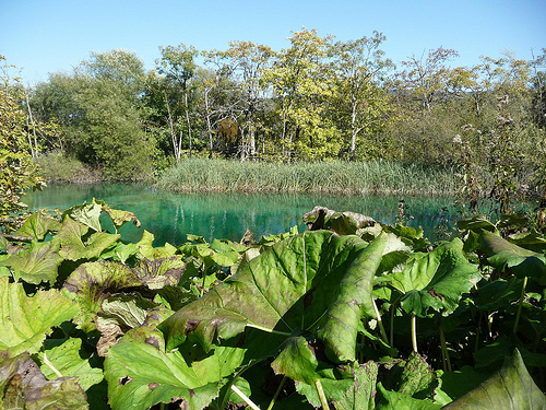 Peter Hahndorf 21-Oct-2011