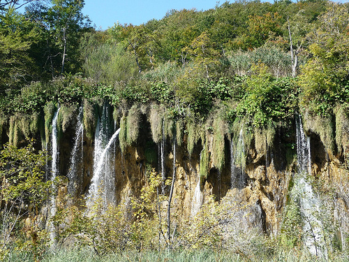 Peter Hahndorf 21-Oct-2011