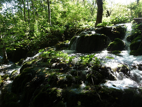 Peter Hahndorf 21-Oct-2011