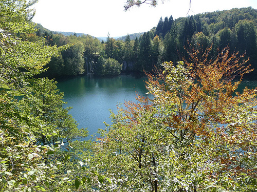 Peter Hahndorf 21-Oct-2011