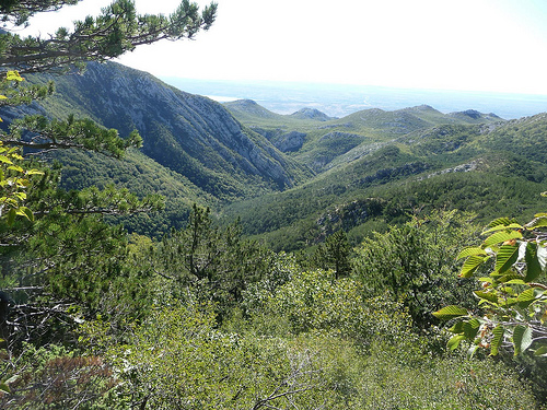 Peter Hahndorf 21-Oct-2011