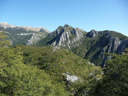 Peter Hahndorf 21-Oct-2011