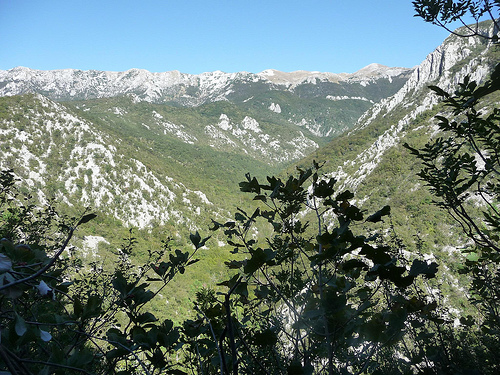 Peter Hahndorf 21-Oct-2011