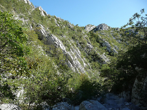 Peter Hahndorf 21-Oct-2011