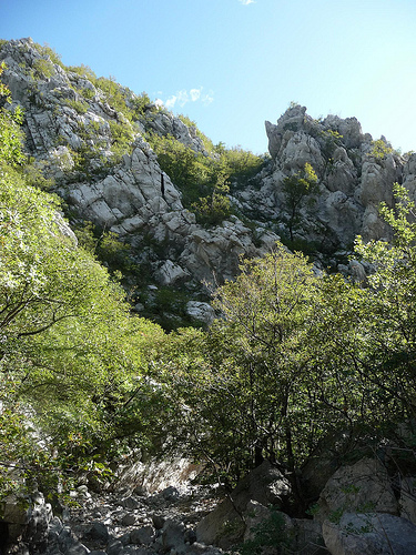 Peter Hahndorf 21-Oct-2011