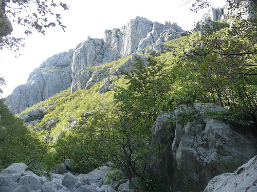 Peter Hahndorf 21-Oct-2011