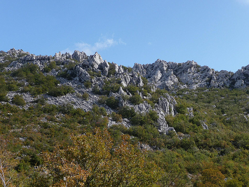 Peter Hahndorf 21-Oct-2011