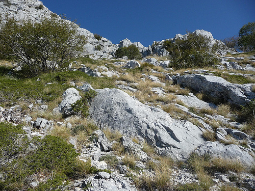 Peter Hahndorf 21-Oct-2011