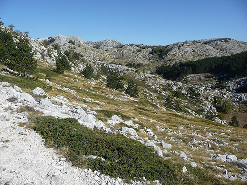 Peter Hahndorf 21-Oct-2011