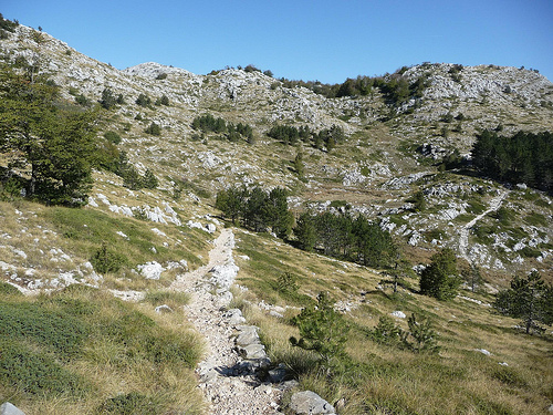 Peter Hahndorf 21-Oct-2011