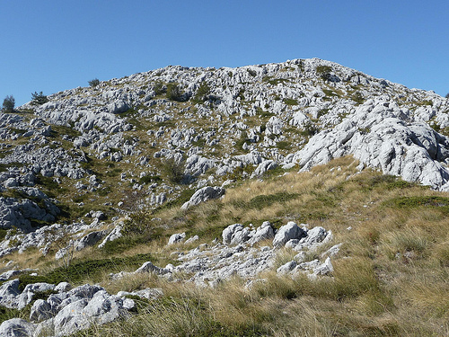 Peter Hahndorf 21-Oct-2011