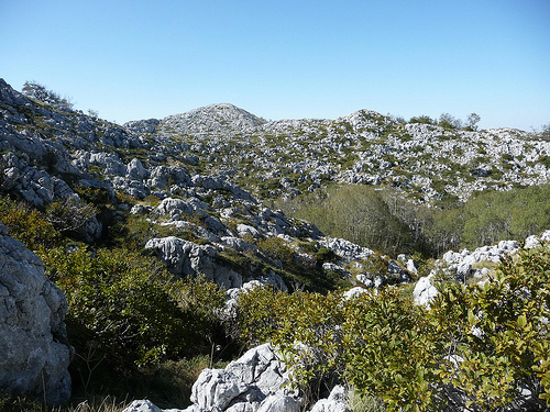 Peter Hahndorf 21-Oct-2011