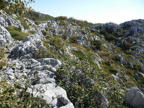 Peter Hahndorf 21-Oct-2011