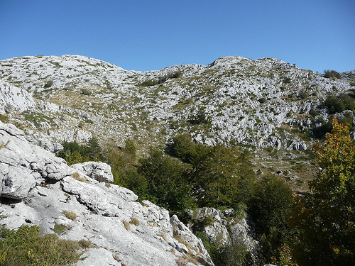 Peter Hahndorf 21-Oct-2011