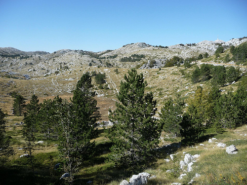 Peter Hahndorf 21-Oct-2011