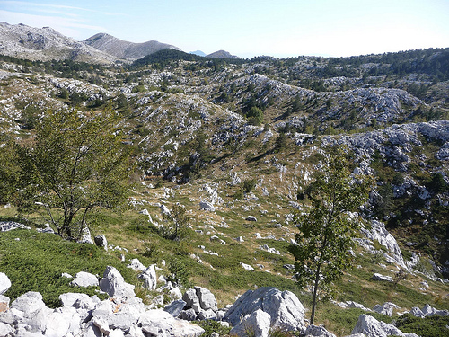 Peter Hahndorf 21-Oct-2011