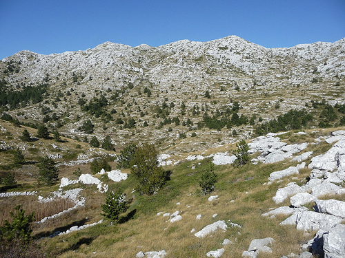 Peter Hahndorf 21-Oct-2011