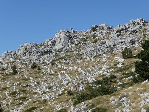 Peter Hahndorf 21-Oct-2011