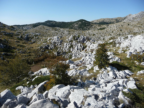 Peter Hahndorf 21-Oct-2011