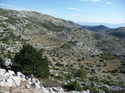 Peter Hahndorf 21-Oct-2011