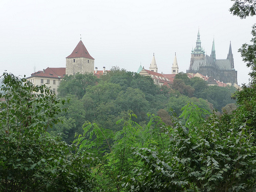 Peter Hahndorf 16-Aug-2011