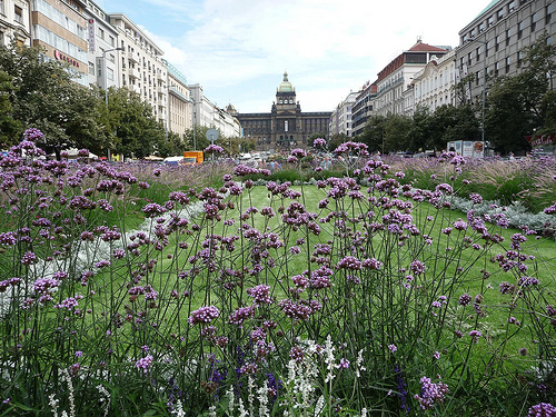 Peter Hahndorf 16-Aug-2011