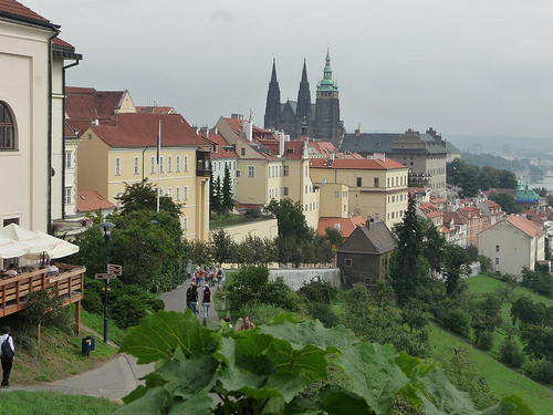 Peter Hahndorf 16-Aug-2011