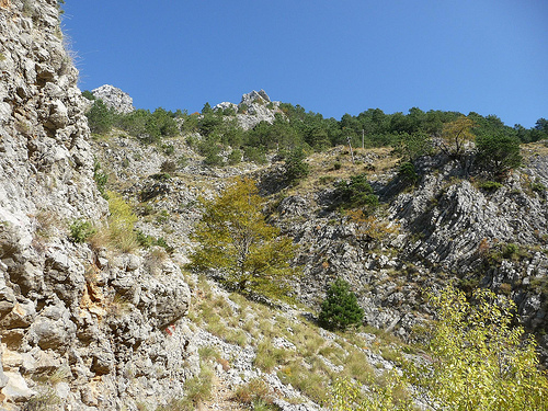 Peter Hahndorf 30-Oct-2011