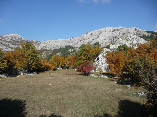 Peter Hahndorf 30-Oct-2011