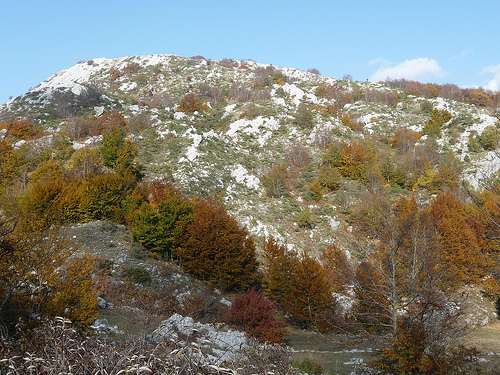 Peter Hahndorf 30-Oct-2011