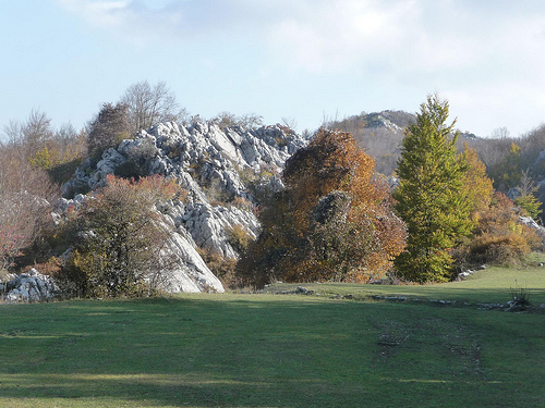 Peter Hahndorf 30-Oct-2011