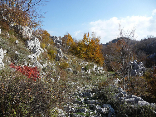 Peter Hahndorf 30-Oct-2011