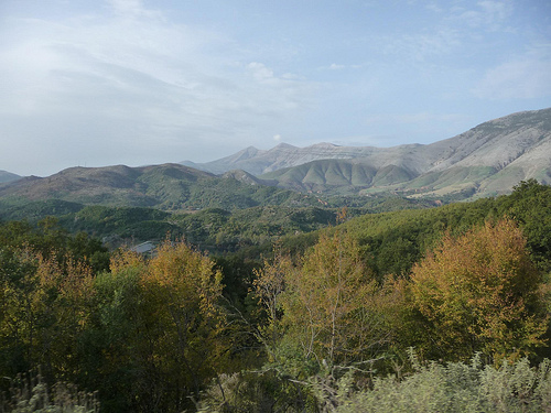 Peter Hahndorf 8-Nov-2011