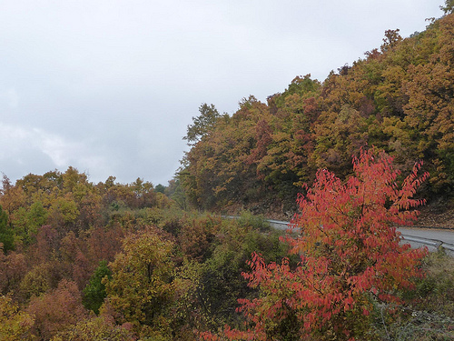 Peter Hahndorf 11-Nov-2011